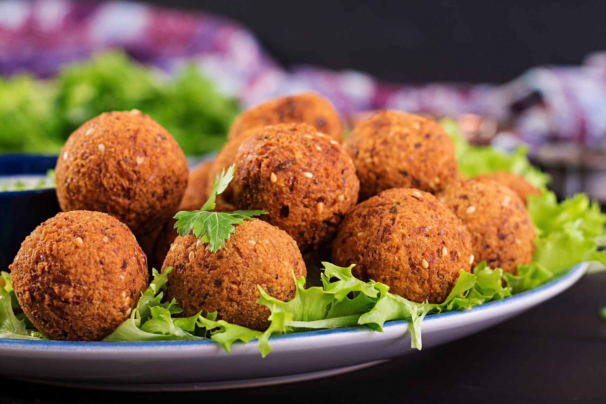 falafel-hummus-pita-middle-eastern-arabic-dishes-halal-food_2829-14339